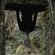 Zzzzz 1779977854static Assets Upload8417320795312004905 — Trevor Henderson: Danger list [REMAKE] option 54