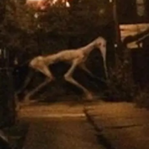 Zzzzz 1780073578static Assets Upload5876985586920288906 — Trevor Henderson: Danger list [REMAKE] option 46