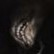 Zzzzz 178211099316 — Trevor Henderson: Danger list [REMAKE] option 71