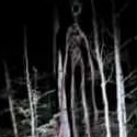 Zzzzz 178211339323 — Trevor Henderson: Danger list [REMAKE] option 91