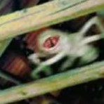 Zzzzz 178211339327 — Trevor Henderson: Danger list [REMAKE] option 89
