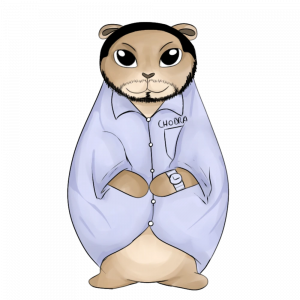 Zzzzz 1765062574lifeisroblox — Find The Chomiks (968) option 725