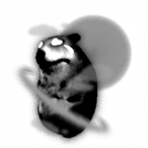 Zzzzz 1765062575grayscalesolarchomik — Find The Chomiks (968) option 737