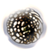 69px Fragilegreed — Hollow Knight Charms in Silksong option 11