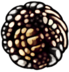 69px Unbreakablegreed — Hollow Knight Charms in Silksong option 16