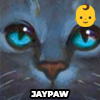 Zzzzz 1762831578jaypaw — Together We Template option 50