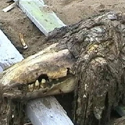 Zzzzz 1761179590scp 682 — Ultimate Villain/Antagonist Ranking option 1490