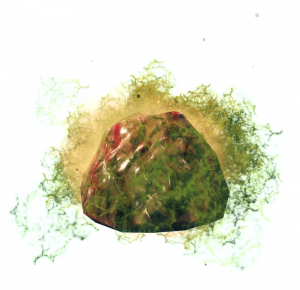 Oozer — Valheim all entities option 57
