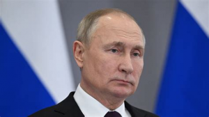 Putin — Dream Blunt Rotation option 60