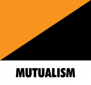Zzzzz 1787588044qshqkjsdmqmdhmd — Left Ideologies Tierlist 2026 option 37