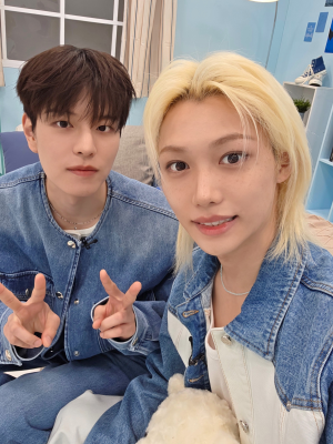 Seunglix 1 — Stray Kids units option 27