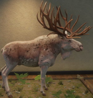 Screenshot 2025 10 22 214752 — Call of the Wild Great One Fur Types (2025) option 10