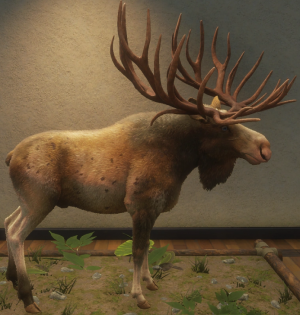 Screenshot 2025 10 22 214759 — Call of the Wild Great One Fur Types (2025) option 11