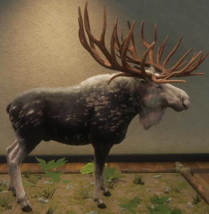 Screenshot 2025 10 22 214807 — Call of the Wild Great One Fur Types (2025) option 12