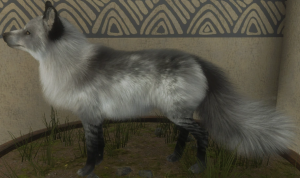 Screenshot 2025 10 22 215203 — Call of the Wild Great One Fur Types (2025) option 33