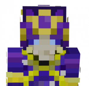 Tiny — WHSMP Void Arc Tier List option 57