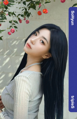 tripleS bias tier list — option 6