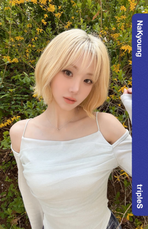 tripleS bias tier list — option 22