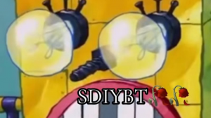 Sdcover — meme 2025 option 80