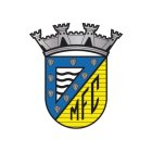 Zzzzz 1763221101img5316 — Portuguese Clubs Badges Ranked option 88