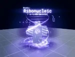 Zzzzz 1783246876riboneucleic — Sol's RNG every auras option 45