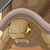 Zzzzz 1788722379commonpebbleravatar — Miscrits: World of Creatures; Version 2.20.0 option 368