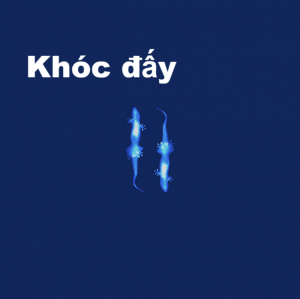 Zzzzz 1765896803khocay — Album/Single Ngọt và Thắng option 64