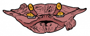 Zzzzz 1770521871karkinos — Shaman Cinematic Universe Characters option 91