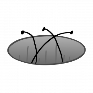 Zzzzz 1774063199hidey Hole — Create a Magic 8 character tier list (OP,TIES,BB,NICHE) option 76