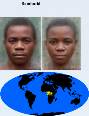 Bambutid — The 38 Basic Human Phenotypes option 7