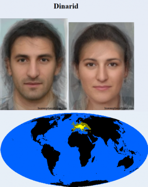 Dinarid — The 38 Basic Human Phenotypes option 11