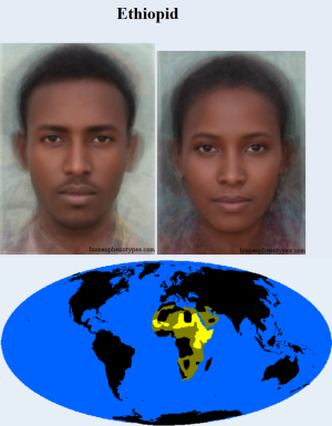Ethiopid — The 38 Basic Human Phenotypes option 14