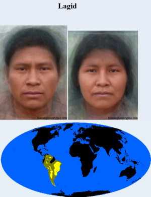 Lagid — The 38 Basic Human Phenotypes option 18