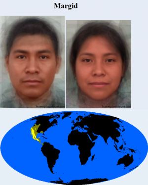 Margid — The 38 Basic Human Phenotypes option 20
