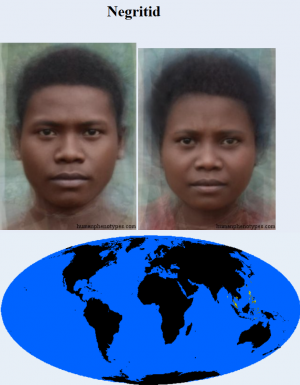 Negritid — The 38 Basic Human Phenotypes option 23