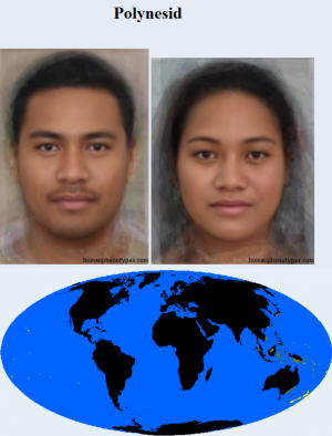 Polynesid — The 38 Basic Human Phenotypes option 29