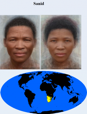 Sanid — The 38 Basic Human Phenotypes option 30