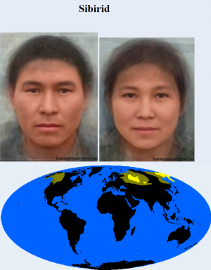 Sibirid — The 38 Basic Human Phenotypes option 31