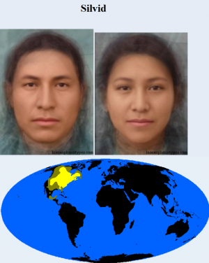 Silvid — The 38 Basic Human Phenotypes option 32