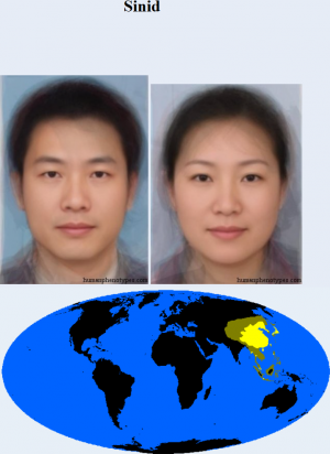 Sinid — The 38 Basic Human Phenotypes option 33