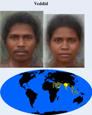 Veddid — The 38 Basic Human Phenotypes option 38
