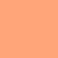 Lightorange — Colors option 31