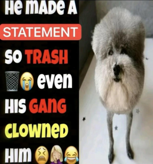 Zzzzz 1768004267c14 — Memes of DA BIG 26 option 8
