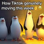 Zzzzz 1779024345images 8 — Memes of DA BIG 26 option 194