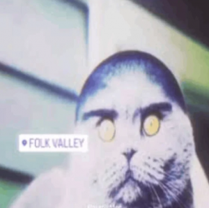 Zzzzz 1784755678folk Cat Was Not Originally A Folk V0 Hb3ufqmw685h1 — Memes of DA BIG 26 option 228