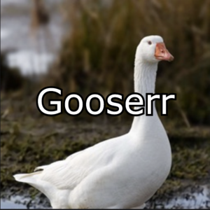 Zzzzz 1769260087gooserr — GoodAssSub Discord member tier list option 27