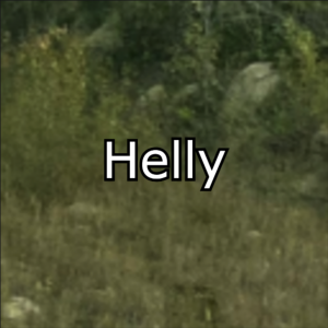 Zzzzz 1769260087helly — GoodAssSub Discord member tier list option 29