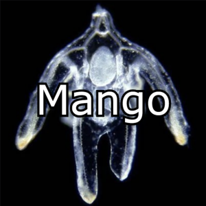 Zzzzz 1769260089mango — GoodAssSub Discord member tier list option 40
