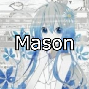 Zzzzz 1769260126mason — GoodAssSub Discord member tier list option 42