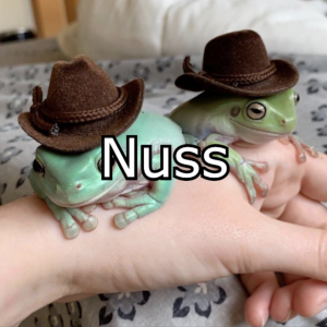 Zzzzz 1769260128nuss — GoodAssSub Discord member tier list option 55